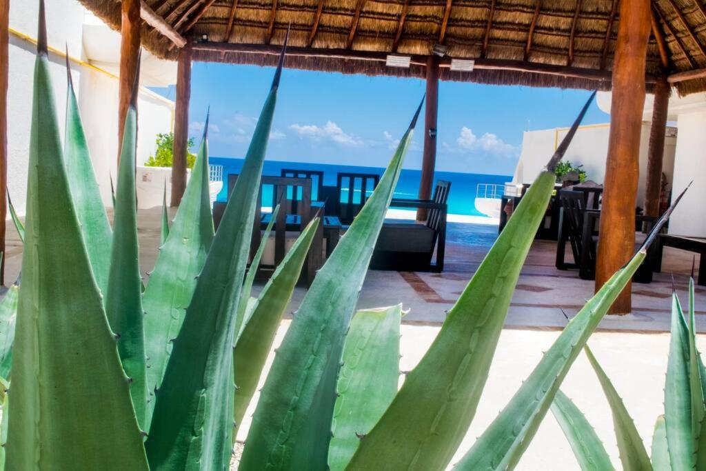 Ocean Front Villa Marlin, Best Location In Hotel Zone #109 Cancun Luaran gambar